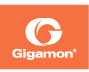Gigamon